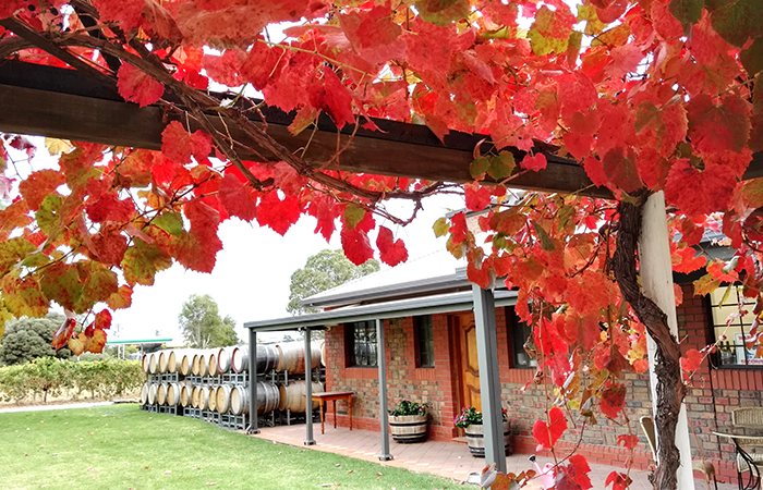 Exterior of Inspire Vintage Australia's boutique Barossa Valley winery and cellar door